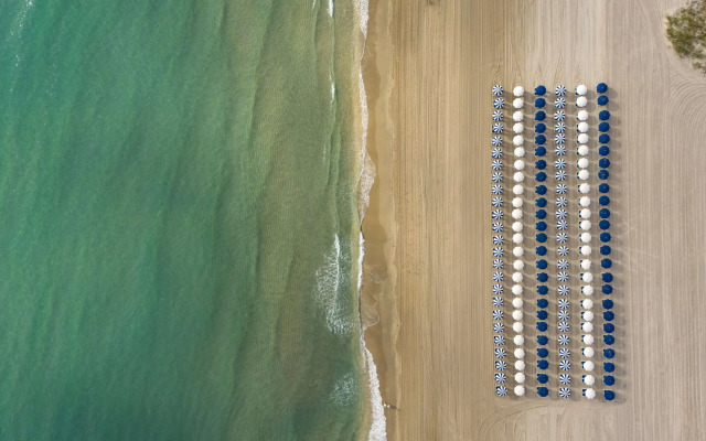 The Seagate