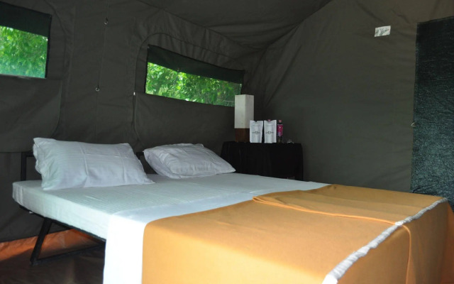 Explorer by Eco Team - Wasgamuwa National Park