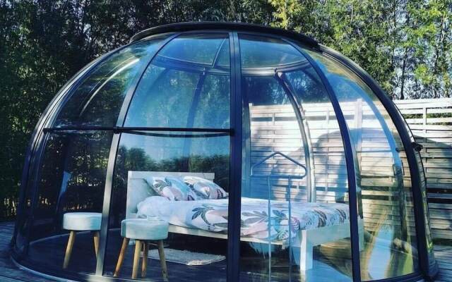 Les nuits insolites de la mothe