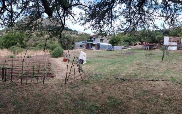 Ranch house #23#