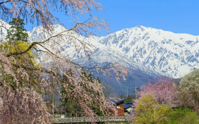 Villa Renga Tei