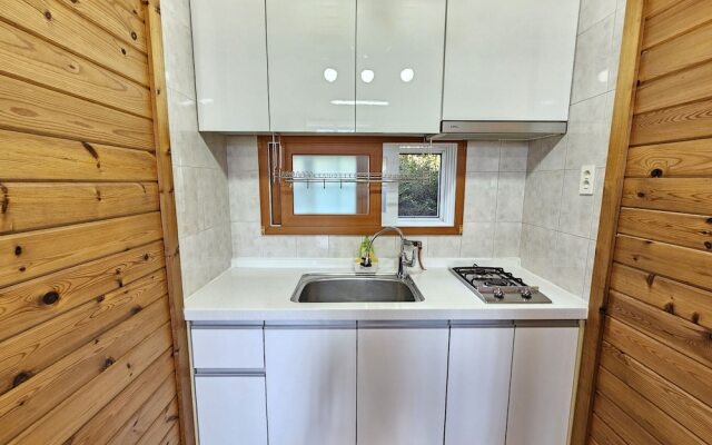 Old Man and Sea Pension