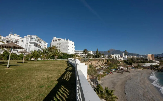 Palmeras 72 Menyber