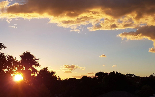 Flametree Guesthouse