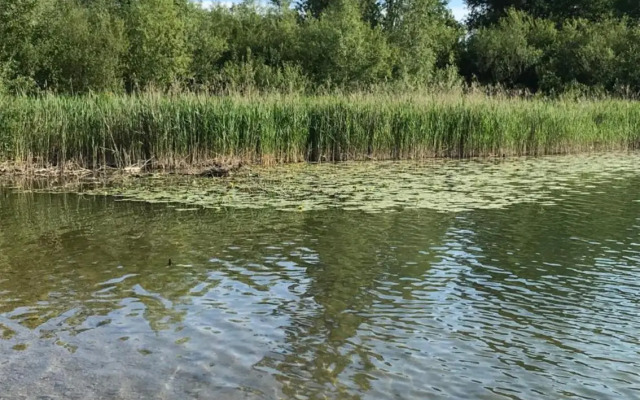 PP-Camping Wallersee