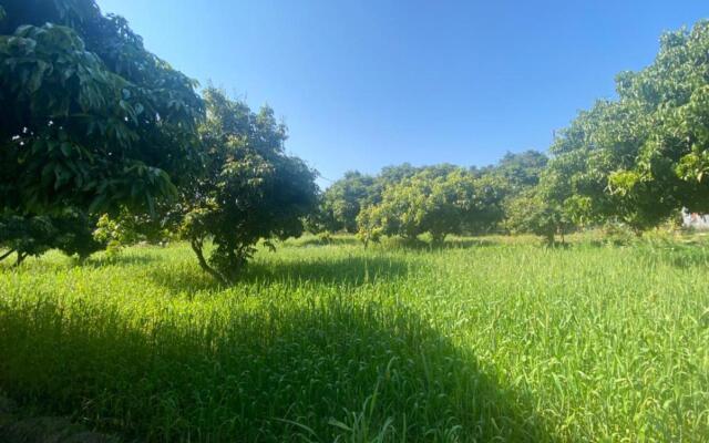 Lushy Days Boom Camps, Tanakpur (Riverside Luxury Camps)