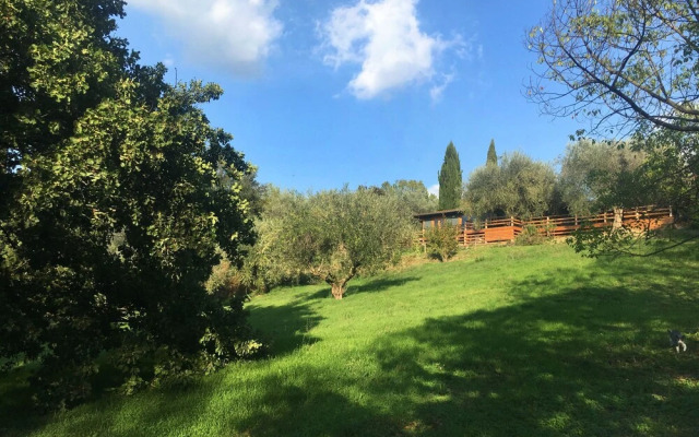 Madonnella Agricola
