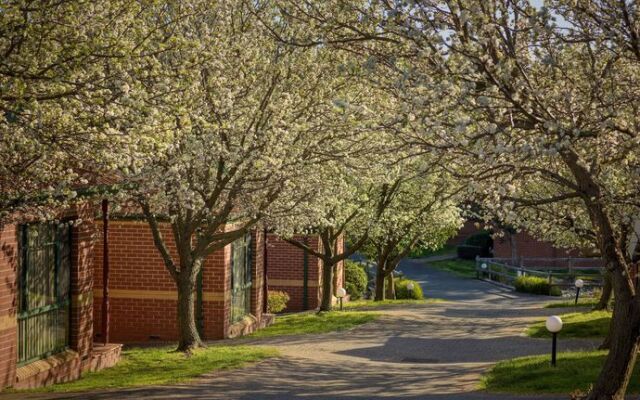 Mount Waverley Townhouses
