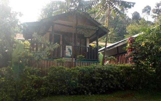 Bwindi View Lodge & Camp Site