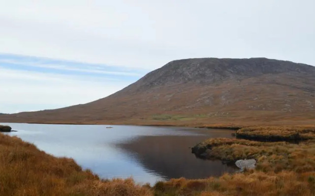 Peacockes Hotel & Complex