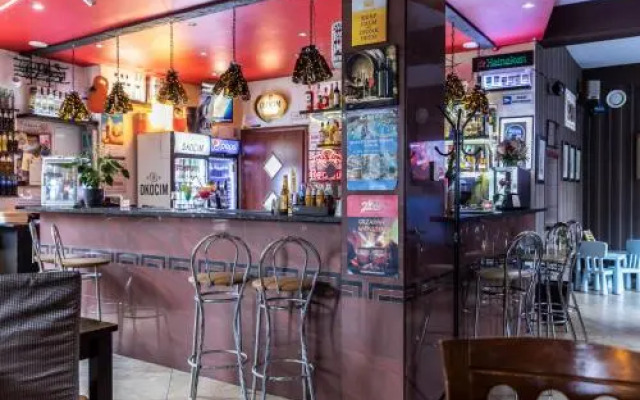 Brzoza w centrum Zakopanego