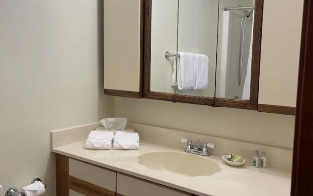 The Central Downtown Inn & Suites