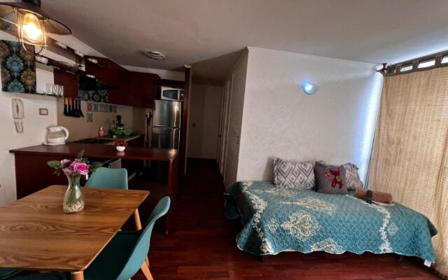 Apartamentos Plaza Bulnes