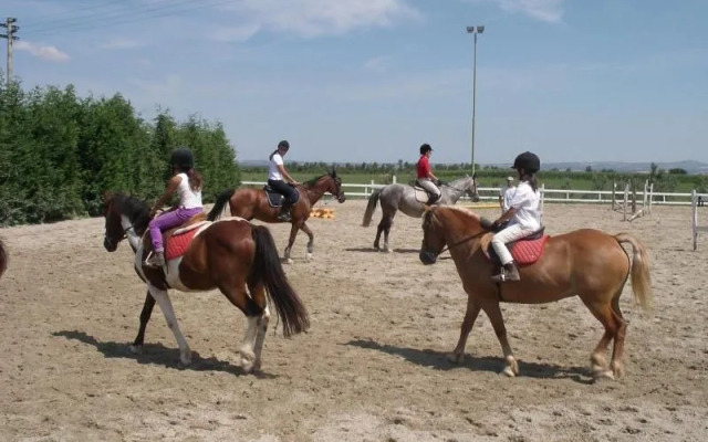 Bicoca - Nuova Fattoria