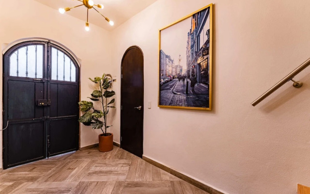 Casa Zamora Condesa by VH