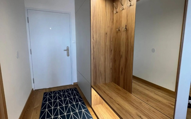 Downtown apartment Darinka