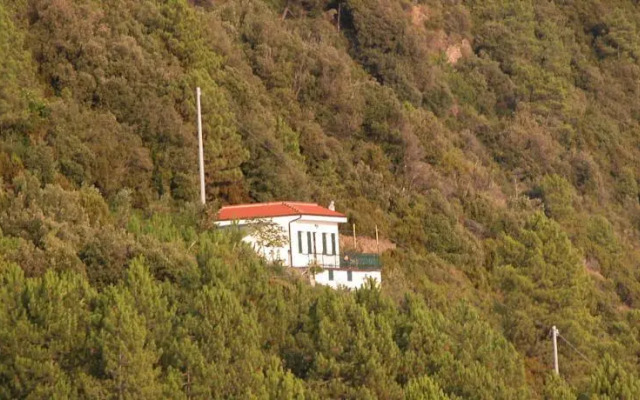 La Volpe e lUva Mare