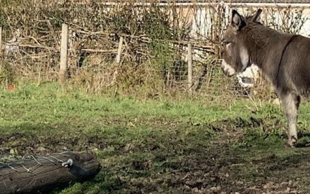 Pontyclerc Farm House B&B