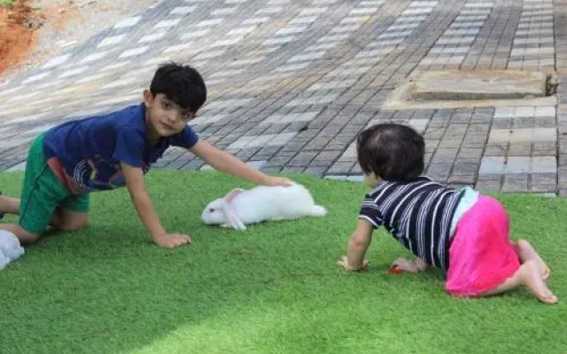 31st December Farms And Estates