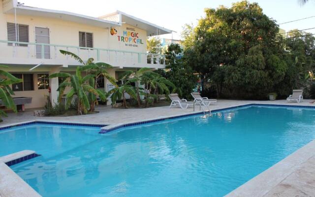 Hotel Magic Tropical