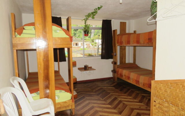 Hostal Plantas y Blanco