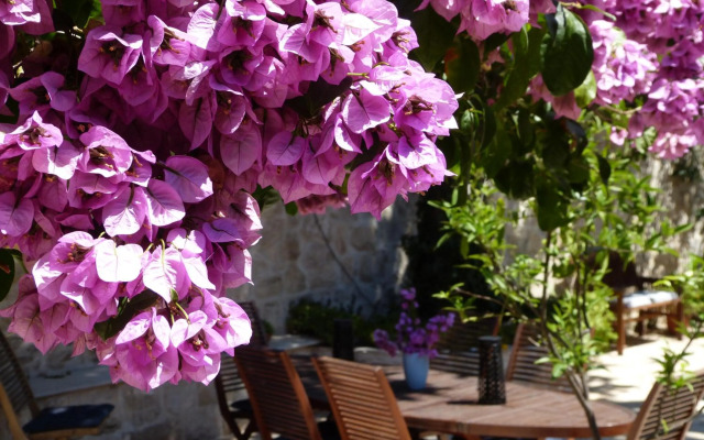 Villa By The Sea Near Dubrovnik