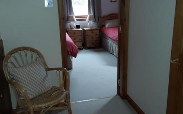 The Pally - behind 13 Palace Road