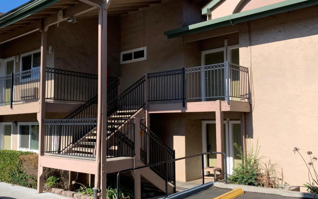 Olive Tree inn & Suites