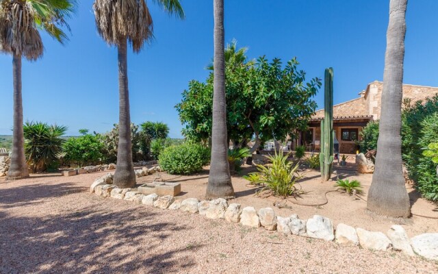 Sa Marina (Marina Des Torrent)