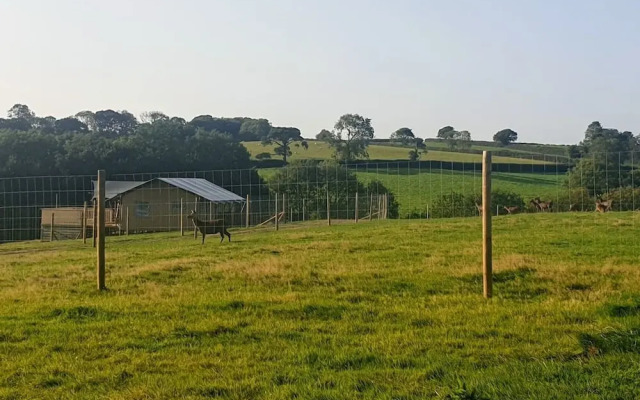 Luxury Safari Lodge Surrounded by Deer!! 'roe'