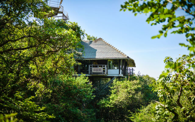 The Machan