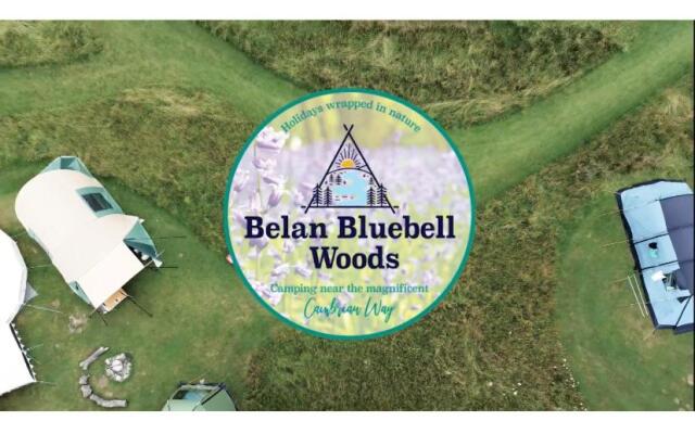 Daisy Bell Tent at Belan Bluebell Woods