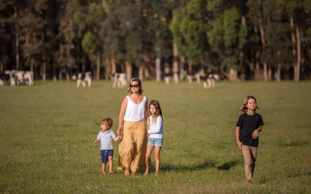 Redgate Forest Retreat