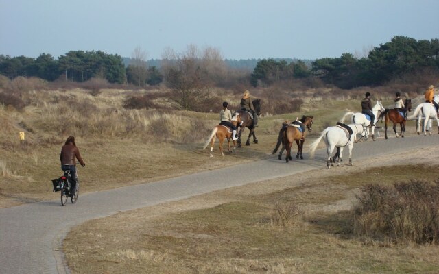 Luxurious Villa in Haarlem with Two Ponds
