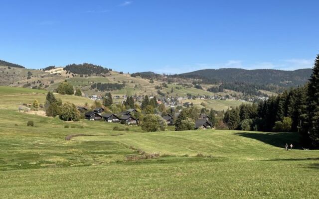 Schwarzwaldblick 30396