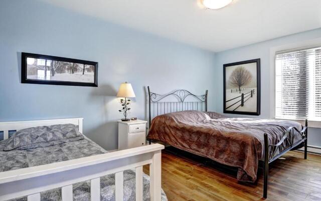 Chalets Alpins-08 Chemin Blanc