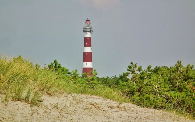 Wonderful and Spacious Apartment