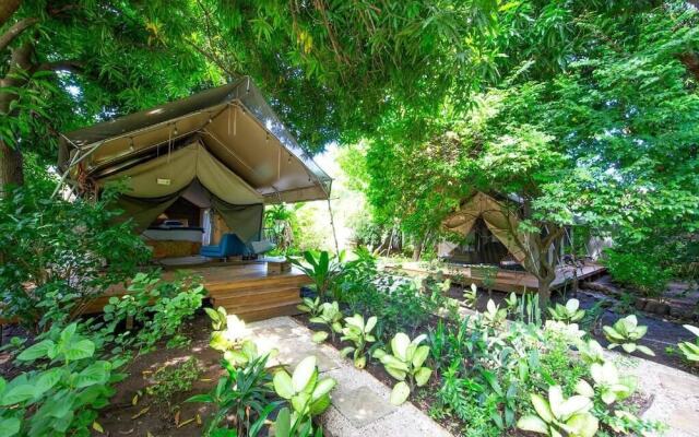 Curiol Boutique Hotel & Lounge