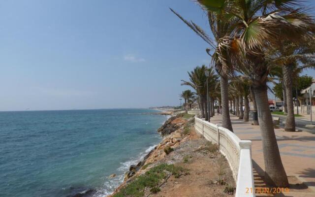 Higuericas Costa 211