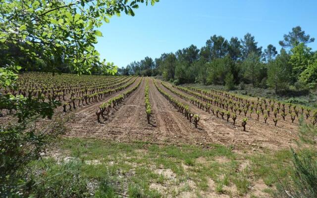 Les Vignes de Terrisse