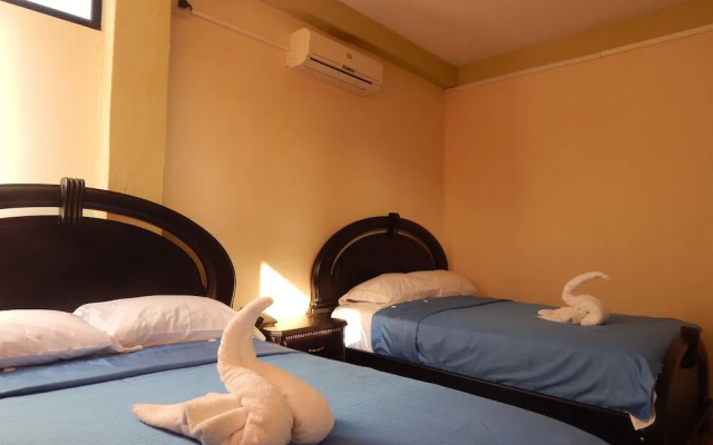 Hostal Flightless Cormorant