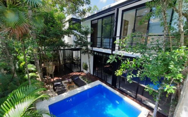 Casa Luna MT 3