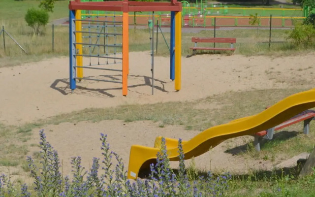 Holiday Home Vogelsang