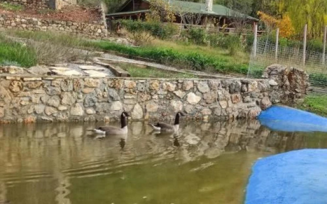 Chalet 1 Bedroom 1 Bathroom - Kalavryta