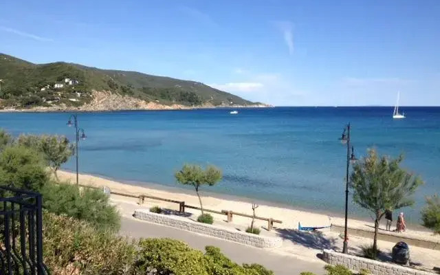 Geranio Blu