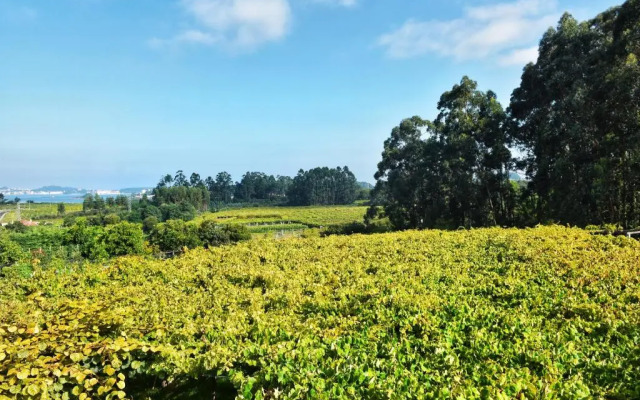 Apartamento Las Perdices