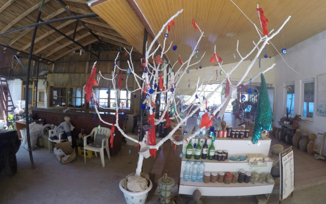 Faralya Gül  Pansiyon