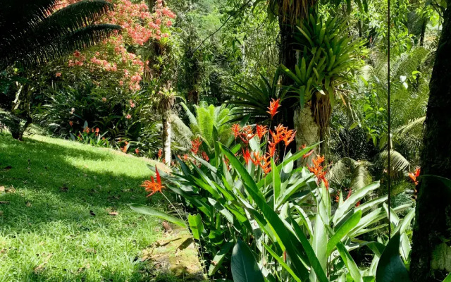 Pousada Bromélias