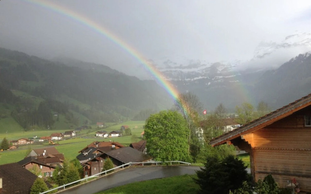 Rott li OG Lenk in Lenk