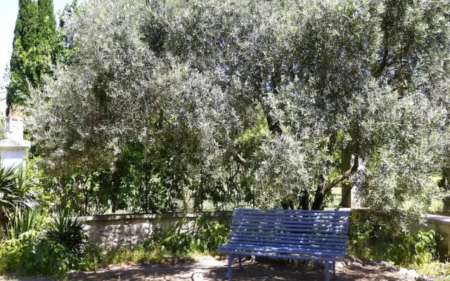 Holiday Home in Provence With Terrace